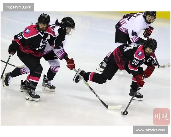 2019冰球赛事_2019冰球赛事巅峰对决激情赛场全纪实荣耀时刻