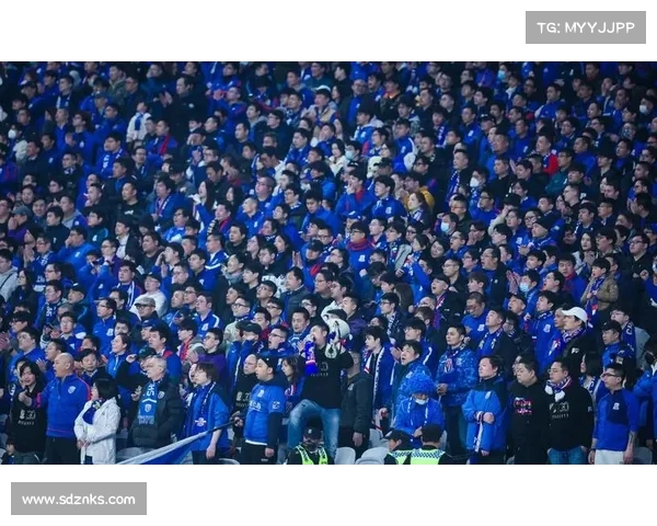 中超赛事效应燃爆全国球迷热情推动城市经济发展国家足球腾飞梦想 中超赛事效应燃爆全国球迷热情推动城市经济发展国家足球腾飞梦想