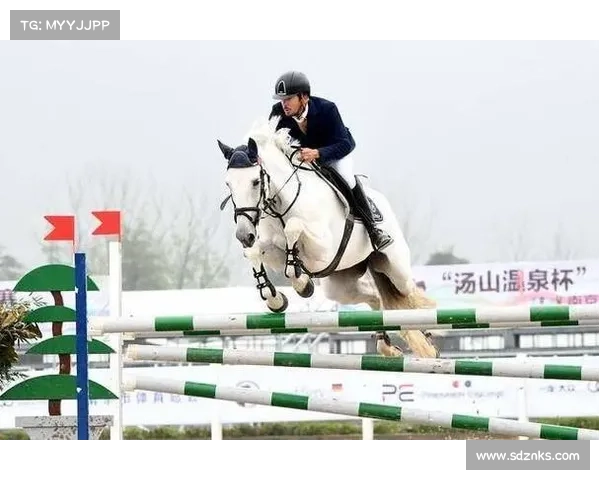 各大马术赛事—聚焦年度全球各大马术赛事盛会感受骑士骏马竞技的激情与优雅