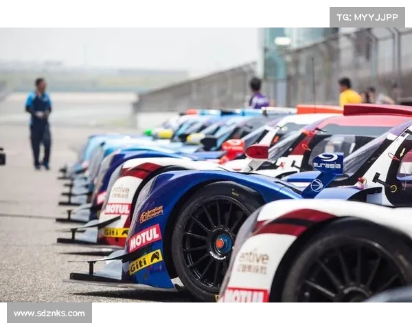 平坐车队的赛事,平坐车队资料