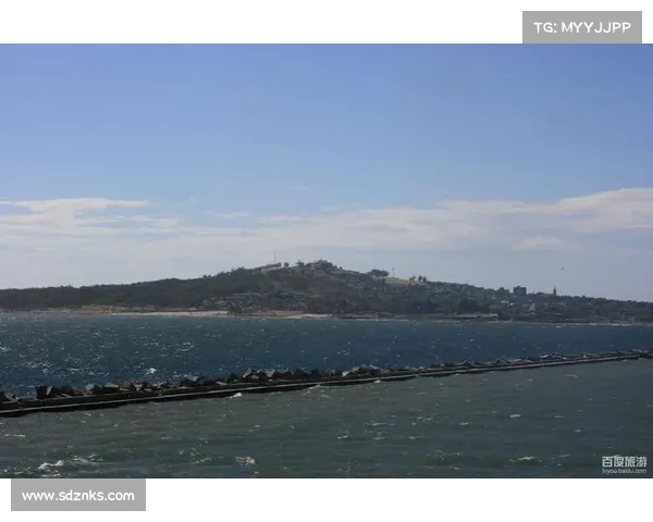 蒙得维的亚港口介绍